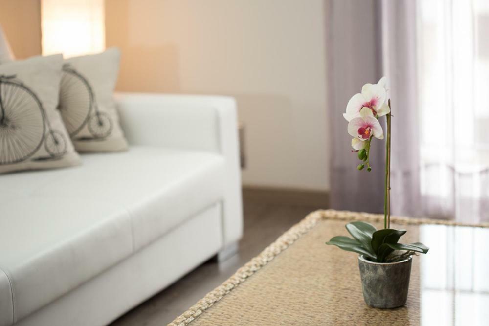 Apartamentos Dacris Jerte Exteriör bild